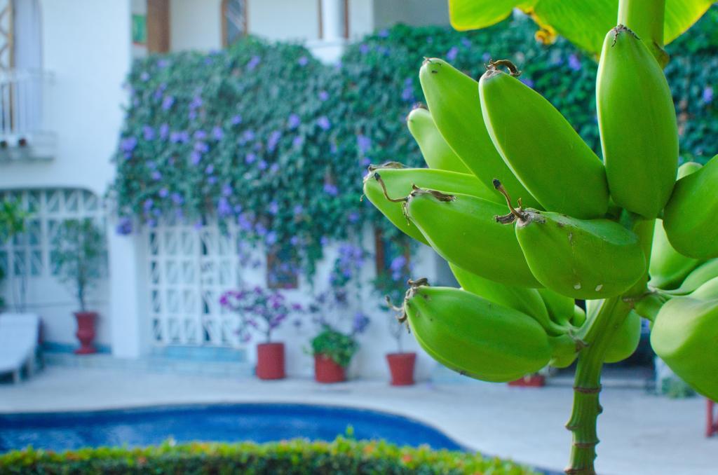 Casa Tukari Colonial House Hotel بويرتو فالارتا المظهر الخارجي الصورة